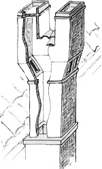 COMIGNOLO VENEZIANO A FORCHETTA