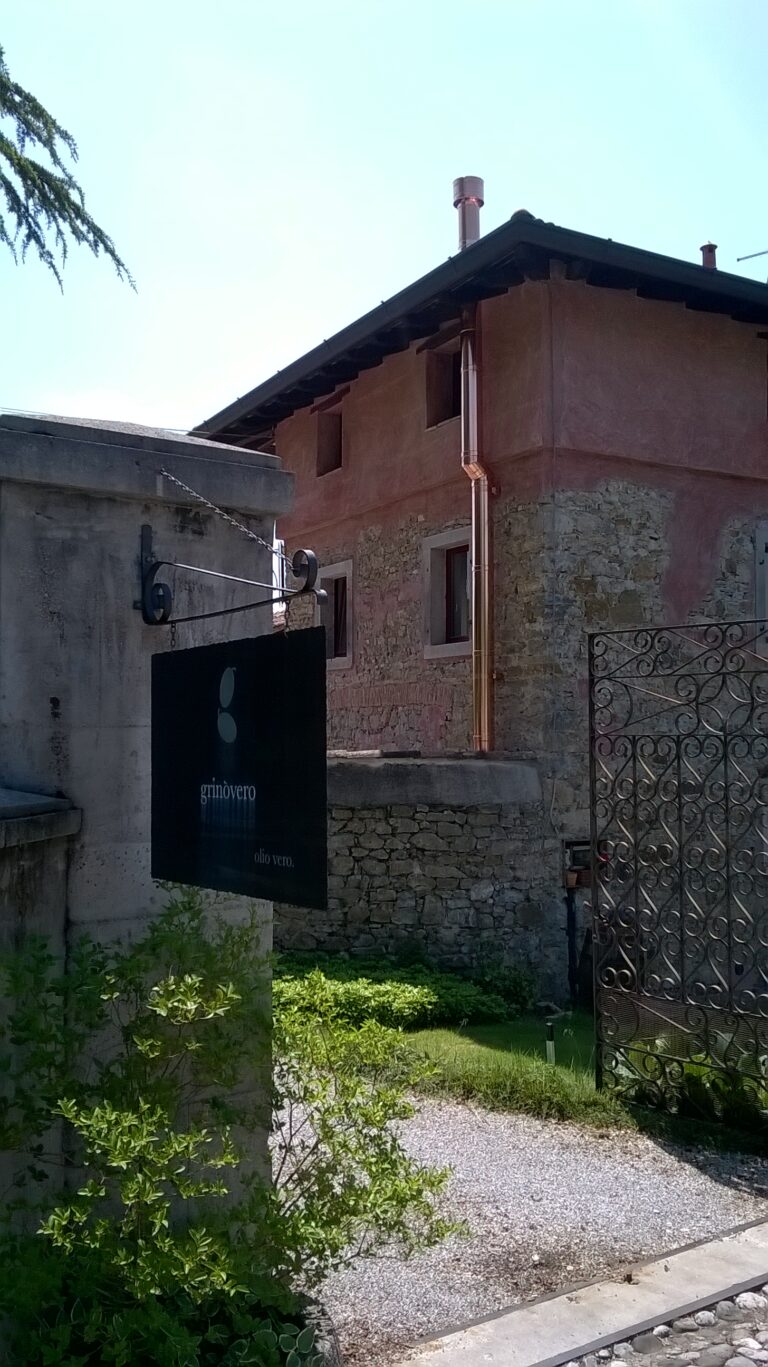 WP 20160525 003 768x1367