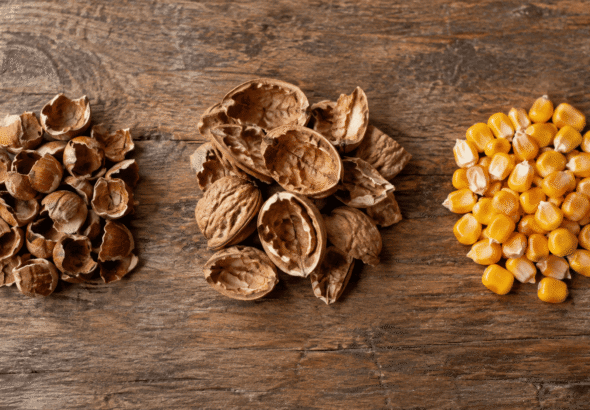 COMBUSTIBILI ALTERNATIVI MAIS NOCCIOLO (1)
