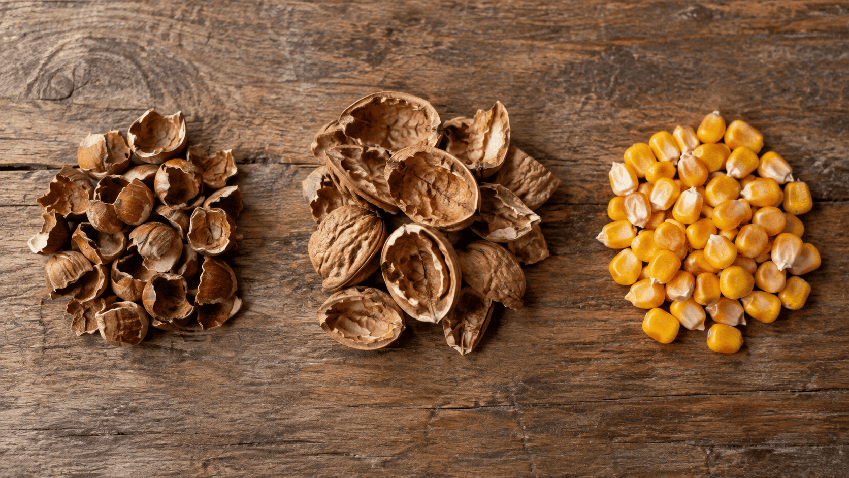COMBUSTIBILI ALTERNATIVI MAIS NOCCIOLO (1)