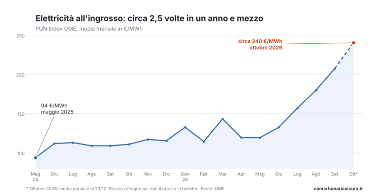grafico-pun-2025-2026